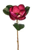 37e8a29ff297527081cf035557f34102-car-vid591