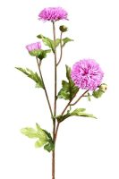 3af8c657f67b245df161a4cd5aa2695e-car-vid586