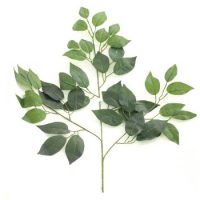 3b29828a9a4d20afed0f4ff3a469e32b-car-vid3058