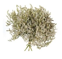 3f8753783ff833b053155783a70d3acc-car-vid2942