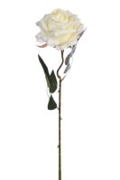 3fffe5e6eda49c4ae45f527a765b1cb7-car-vid3049