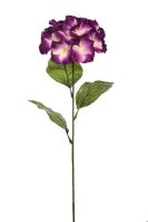 418ff7504e4742d960506170963a7dd3-car-vid646