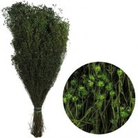 46a051dad05352fef2682d8b4f1309c9-car-vid2952