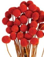 47ff5c475d89dc4c8dac45ab4dc3be14-car-vid2867