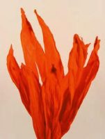 4c895b07770373049f8412b5e74f0749-car-vid985