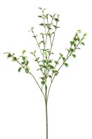 4fb337fb687d8165910eb840126eb680-car-vid1867