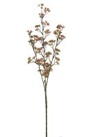 50bcda3b5feae1ce5c3b0b39411e5231-car-vid2716