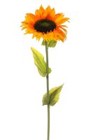 51c7402cbf23573eabbe6e450c6cd618-car-vid2481