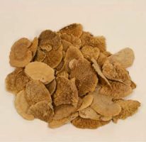 52192106afdc4f430ccff27405f56c0e-car-vid1278