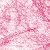 53a2115496cc7e856b0c743ccb7f749e-car-vid301