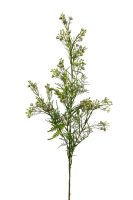 570e433a068edfdd1882731ee29a1ec9-car-vid1960