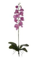 57b1bf3091ac76f961b1744cebf45a9f-car-vid859