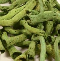 5b44cd0db654dad210359eb8b76d8ca2-car-vid1286