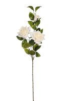 5c9bd5c0d0bde77302172febe12fe7b6-car-vid2709