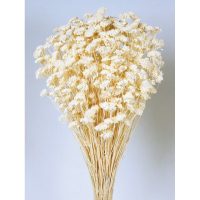 5e69e05601e7c560aad108b96b00ff39-car-vid1769