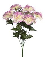 5fabe38889f5f45cd66581d0582cf83a-car-vid2012