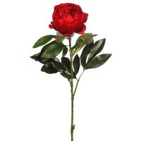 63c2cdc588a1f7f8300082469b745d6e-car-vid2486