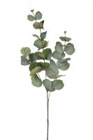 67a825f526ad4158c6a8942f687984e8-car-vid3189