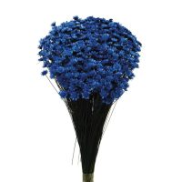 6f7628264391d2405eaac69fb41c704d-car-vid2944