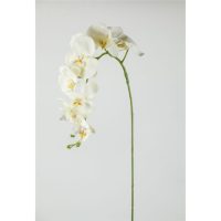 71a29ac2b715f9041d5926a5b9966e5e-car-vid2007