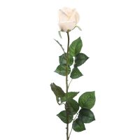 7290882330783808e05e55d372c102fe-car-vid3204