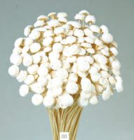 7375783dc3eeeb34910094e6a4533af2-car-vid1954