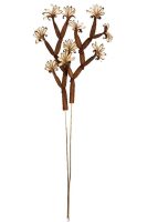 737c60ed14bc6df8d5302c4f0fe84663-car-vid2466