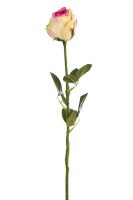 74352da7f9666bd9f4df500560a91972-car-vid800