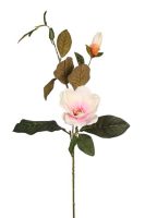 758060fb70ee1a931cbf77d3423870bd-car-vid1108