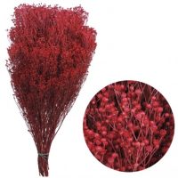 75efcaf2aafe944468d46d284b46a797-car-vid2953