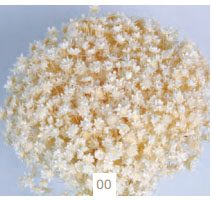 7646c74f8087422fb0b038ac8091dc3a-car-vid2022