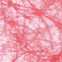 76923299a505242bcdcb48d42efc951c-car-vid161