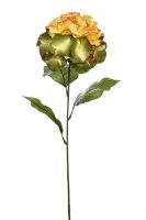 7746399dce83cd93ce2e57aebbcf233a-car-vid2104