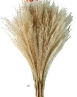 80f8c863056f55868f60812bec58f063-car-vid2965