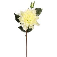 81f126a722c22dfdee4208ba3ca25cb1-car-vid2725