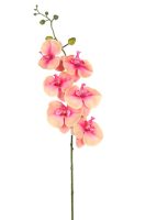 83b3921a9c669555c422f472f052c6ff-car-vid623