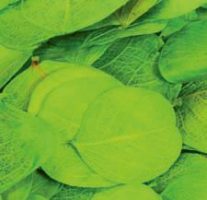 83b58f5399fa878b93104706bcc2e74f-car-vid1294