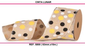 8bc5aef5c16563e96774219b7e3da58d-car-vid2890