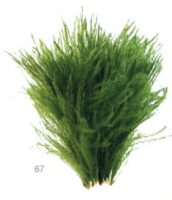 8d8f1fc1fa76d2679915448488e9ece9-car-vid2962