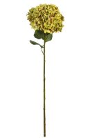 8fb381740be9d6e8391d028124c21acd-car-vid2480