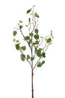 90ceee712232b0201a0bece6188bd654-car-vid813