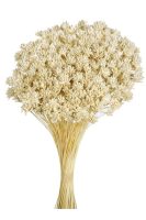 9604d3388fa9b5a5555cce35e10b493d-car-vid1778