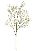 97b8d2e91a6a865cd37b88183ffe4686-car-vid1736