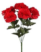 98244b08a60d2b09a125240a45d4f1f7-car-vid361