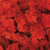 982b92d11a98f150149cd22802f97f4f-car-vid1354