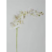 98e2d168c9a34d4510875380aecb1ced-car-vid2005