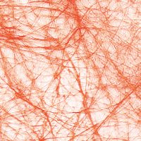 99809c897c5a1ab0c9939d426ec24ffa-car-vid147