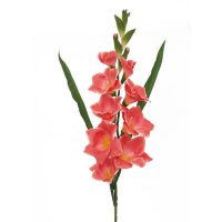 99e0dc651779015bf9c744e9c66ef160-car-vid2001