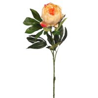 99e109226a453b329cb3a181c393eb17-car-vid2730