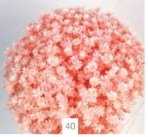 9ae63c831f21471716560bdd60d8f3c7-car-vid2688